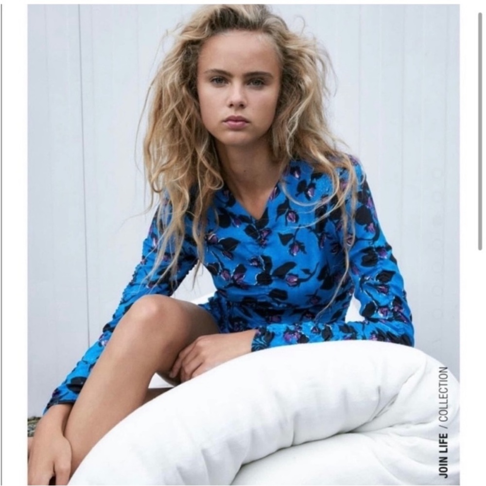 Zara Dress